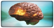 La repetición de las crisis epilépticas….¿causa daño cerebral? Reciente estudio no encuentra evidencia que apoye que así sea