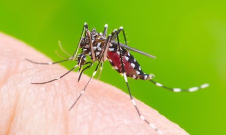 Infección por virus Zika y epilepsia infantil