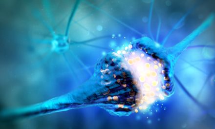 Nuevas datos genéticos explican variantes clínicas de la encefalopatía epiléptica STXBP1