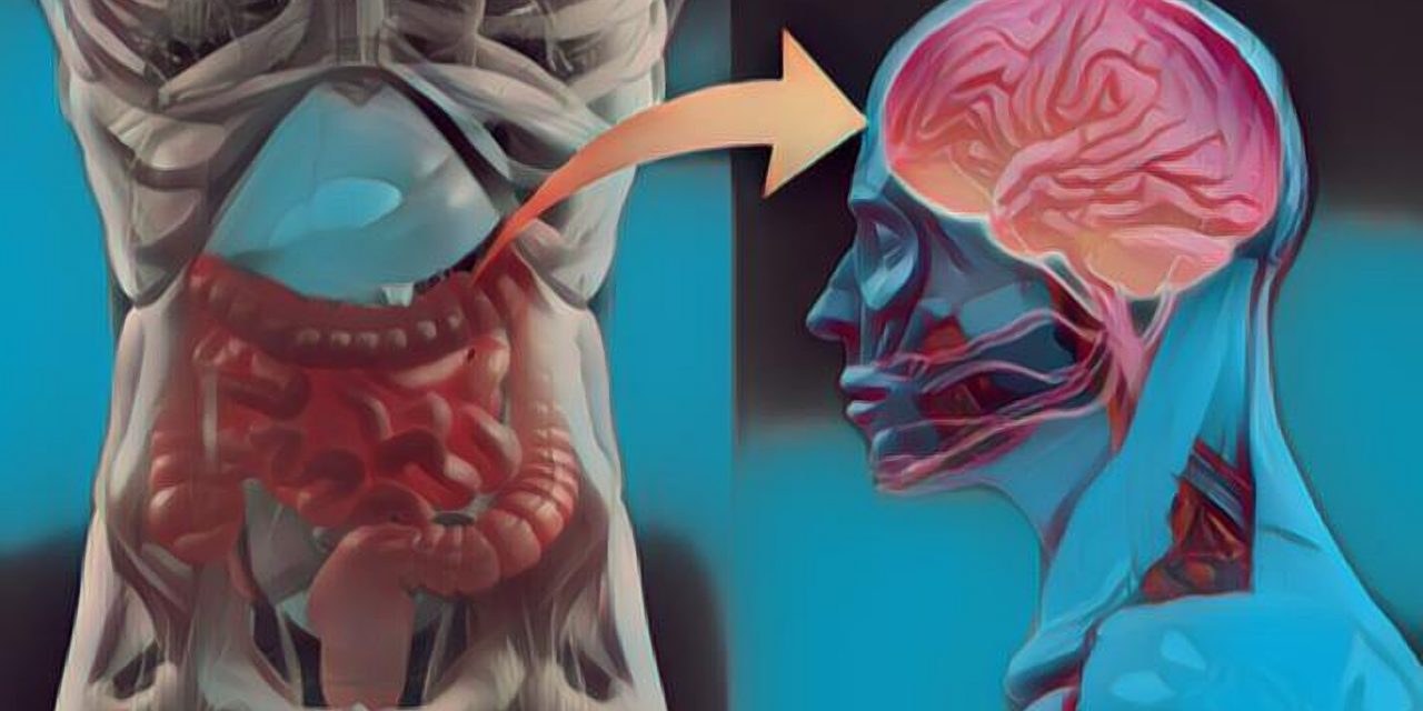 El psicobioma: ¿Cómo influye la microbiota intestinal en los trastornos neurológicos y psiquiátricos?