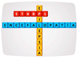 STXBP1