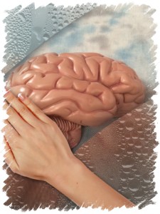 cerebro agua