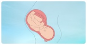 ¿Cómo varia el riesgo de prematuridad y bajo peso fetal en mujeres tratadas con FAEs? Nuevos datos publicados en EEUU.
