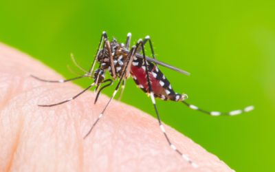 Infección por virus Zika y epilepsia infantil