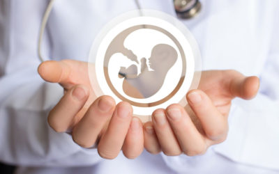 El ácido valproico puede afectar negativamente la función de la placenta en estadios precoces de la gestación