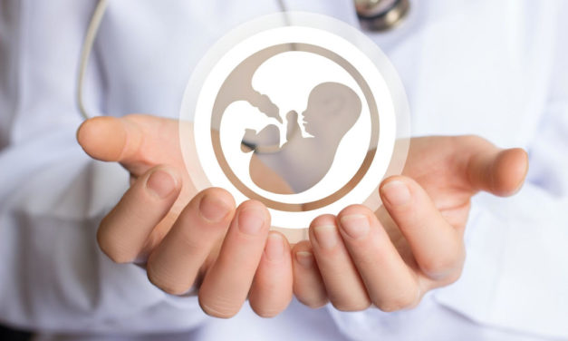 El ácido valproico puede afectar negativamente la función de la placenta en estadios precoces de la gestación
