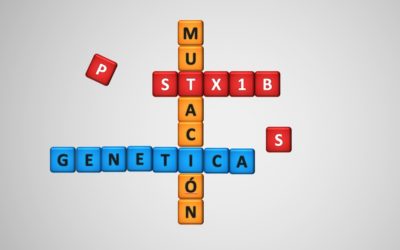 El diverso espectro clínico de las epilepsias relacionadas con el gen STX1B