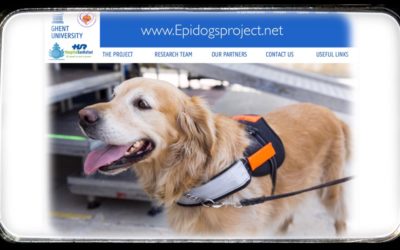 Segunda Fase en el Proyecto Epidogs