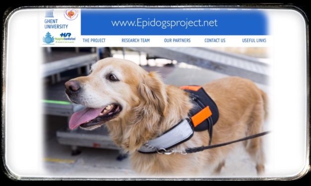 Segunda Fase en el Proyecto Epidogs