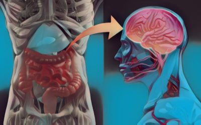 ¿Hay relación entre la sensibilidad al gluten y la epilepsia?