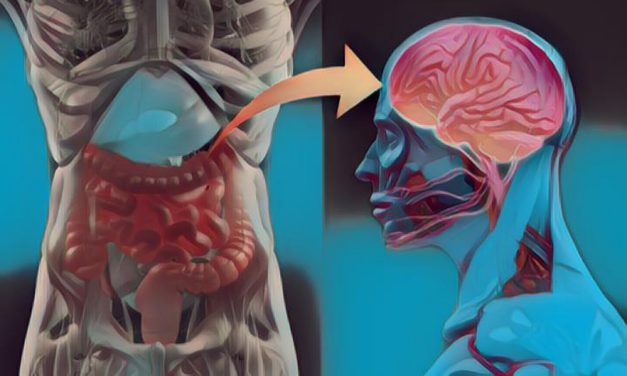 ¿Hay relación entre la sensibilidad al gluten y la epilepsia?