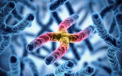 ¿Vale la pena realizar pruebas genéticas en adultos con epilepsia y discapacidad intelectual?
