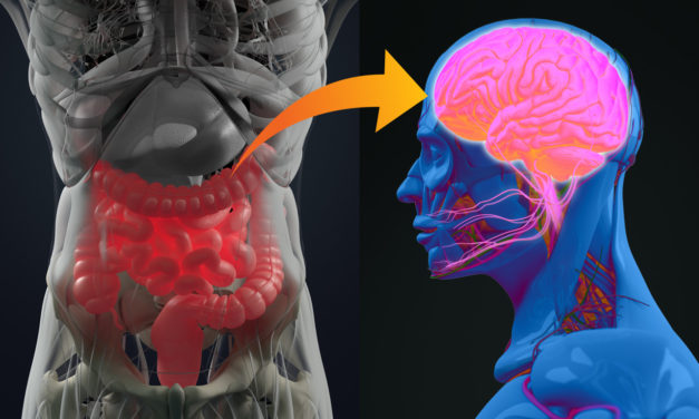 ¿Se podrá alcanzar un mejor control de la epilepsia con la modificación del microbioma intestinal?