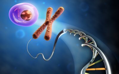 Avances en el diagnóstico genético de las encefalopatías epilépticas