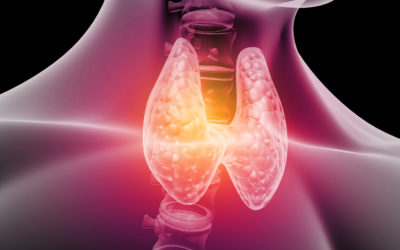 ¿Se puede alterar la función tiroidea con los tratamientos para la epilepsia?