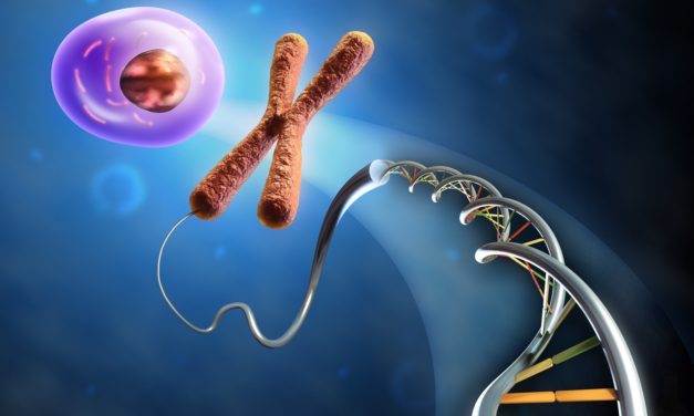 ¿Cuál es la historia natural de la encefalopatía epiléptica STXBP1?
