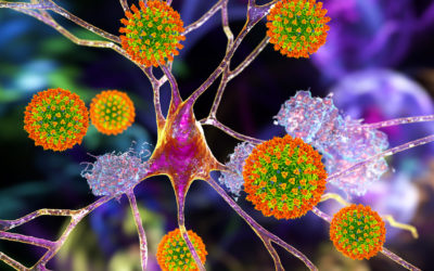 ¿Podría la pandemia COVID-19 asociarse a un futuro aumento de los casos de epilepsia en el mundo?